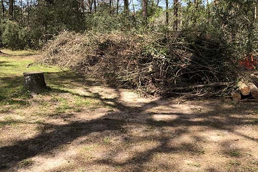 Land and Lot Clearing Land and Lot Clearing