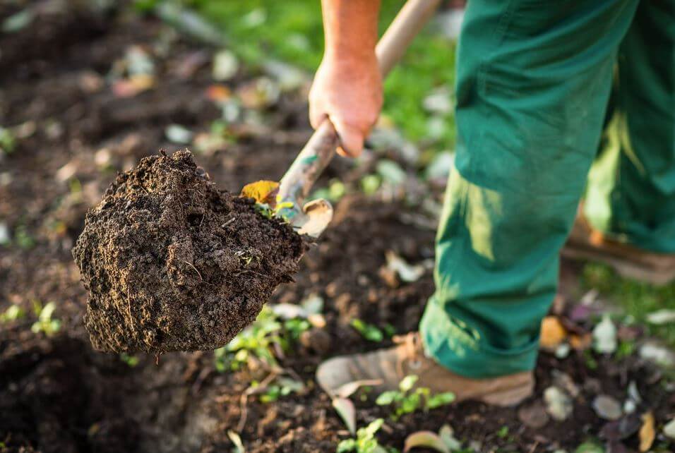 Small Yard Landscaping New Caney, TX